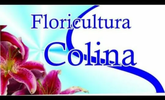 Floricultura Colina